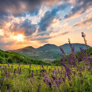 https://pd-home.hotelinveneto.com